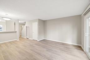 A spacious room with light wood flooring and white walls.