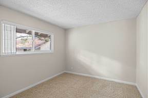 A room with a window and a carpeted floor.