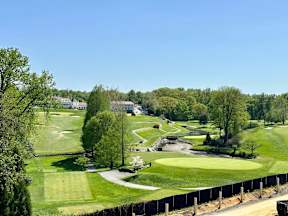 A golf course with a green and a tree in the foreground.
