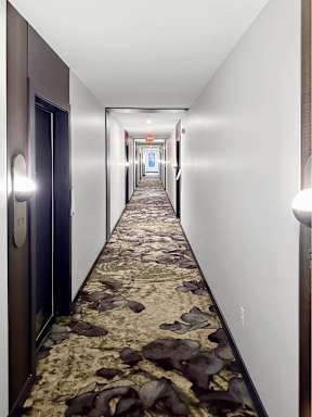 A long hallway with a carpeted floor and doors on the left.