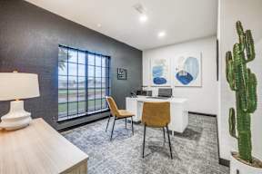 A room with a desk, chairs, and a cactus.