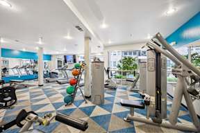 The Arts gym
