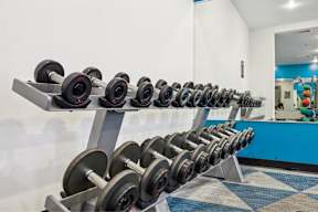 The Arts gym