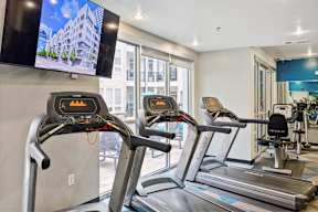 The Arts Gym
