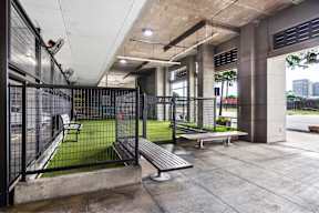 Dog relief area