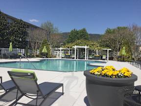 A pool area with sun loungers and a planter with yellow flowers.