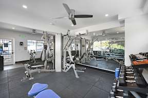 A spacious gym with a variety of equipment including a squat rack, bench, and weights.