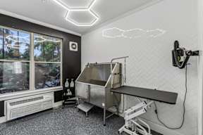 A room with a stainless steel sink and a window.