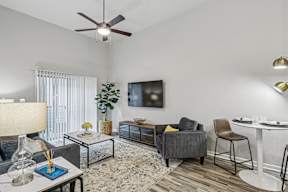 A living room with a grey couch, a glass coffee table, a TV, and a plant.