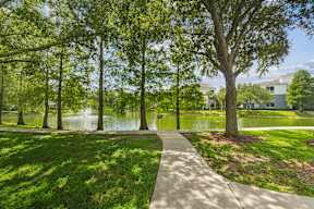 A walkway in a park with a pond and trees.
