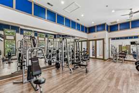 A gym with a variety of equipment including treadmills, weights, and a bench press.