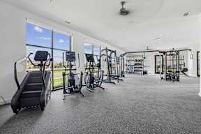 the gym is equipped with cardio equipment and weights