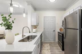 A kitchen with a sink, refrigerator, and a plant.