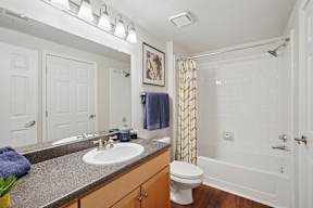A bathroom with a white toilet, sink, and shower.