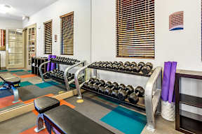 A gym with a bench, weights, and exercise equipment.