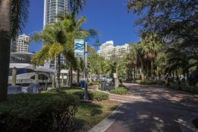 a city street with palm trees and tall buildings