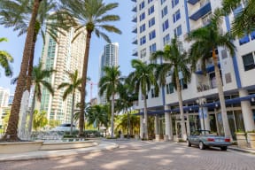 a city street with palm trees and tall buildings