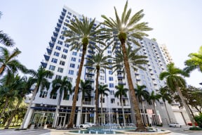 a tall building with palm trees in front of it and a pool
