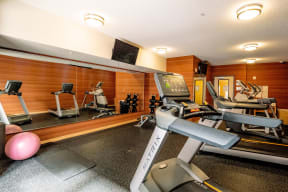 Modern gym room here at Gallery Flats Apartment Homes with wooden walls, featuring several treadmills facing a mirrored wall. A pink exercise ball and dumbbells are visible, lit by ceiling lights.