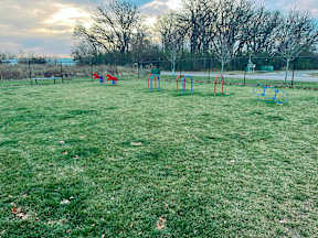Dog Park