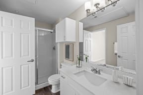 a bathroom with a sink and a toilet and a shower