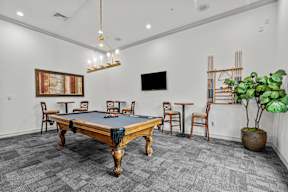 A pool table is in the middle of a room with a tv and a plant.