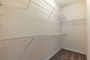 Empty walk-in closet with shelves and carpeted floor.