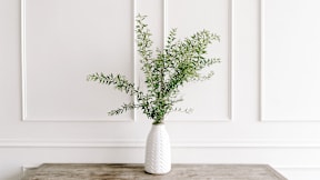 A white vase with a green plant sits on a table.