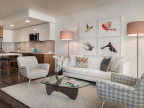 923 folsom stret apartment living room natural light