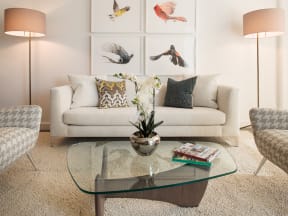 living room apartment