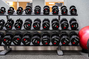 A rack of black dumbbells with red numbers on them.