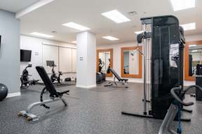 A gym with a variety of equipment including a treadmill, weights, and a bench press.