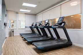 A row of treadmills are lined up in a gym.