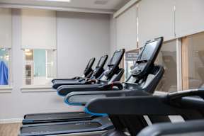 A row of treadmills are lined up in a gym.