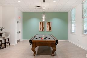A pool table in a room with a chair and a plant.