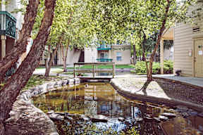 A pond with water lilies and a bench in the middle of it.