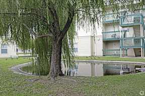 A tree with long hanging branches is in front of a building.