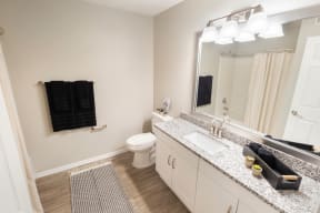 a bathroom with a sink and a toilet and a mirror