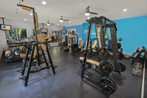 a fully equipped gym with weights and cardio equipment