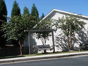 A white house with a tree in front of it.