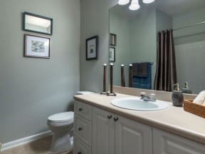 Candler Guest Bathroom