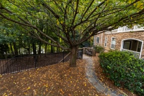 a tree and a pathway in front of a brick building
