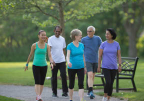 a group of people walking in a park