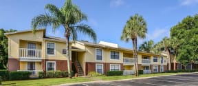 Park Avenue Apartments Tampa Florida Buildings with Palm Trees and Blue Sky
