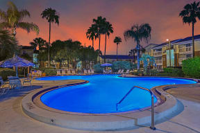 Park Avenue Apartments Tampa Florida Pool with Glowing Blue Lights at Sunset Time