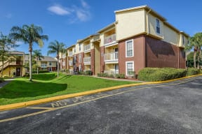 Park Avenue Apartments Tampa Florida Buildings with green grass and palm trees