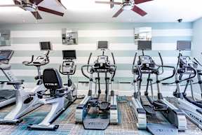 A gym with treadmills and exercise bikes.