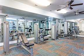 A gym with a variety of equipment including treadmills, weights, and a bench press.