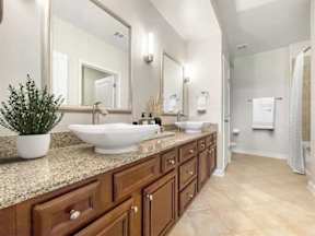 A bathroom with a large mirror, a sink, and a potted plant.