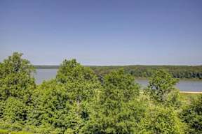 A serene landscape with a lake surrounded by lush green trees.